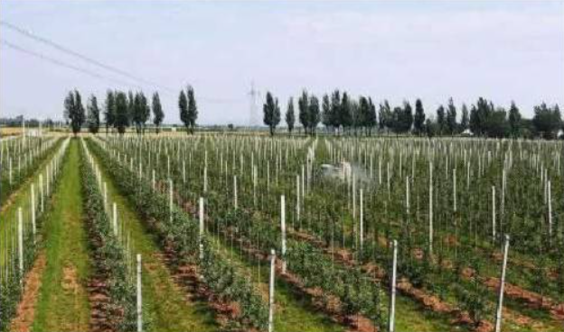 GAP認證未來發展，這五個趨勢你認同嗎？